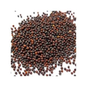 Cabbage Seeds