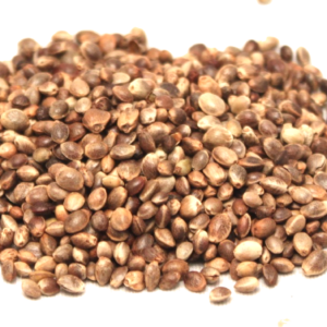 Hemp Seeds