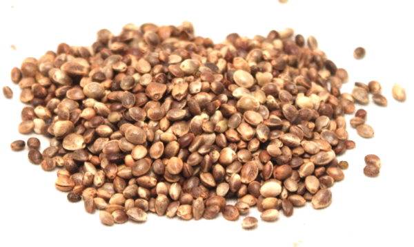 Hemp Seeds
