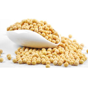 Soybean Seeds