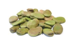 Fava Beans