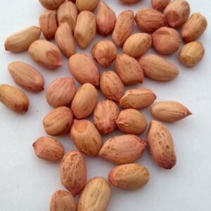 Peanuts Kernels