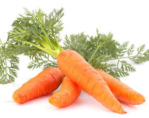 Fresh Carrots