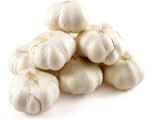 Fresh Garlic