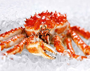 King Crab