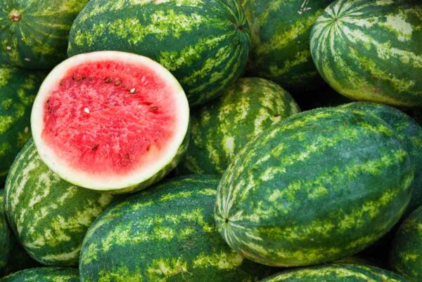 Fresh Watermelon - Image 2
