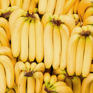 Cavendish Banana