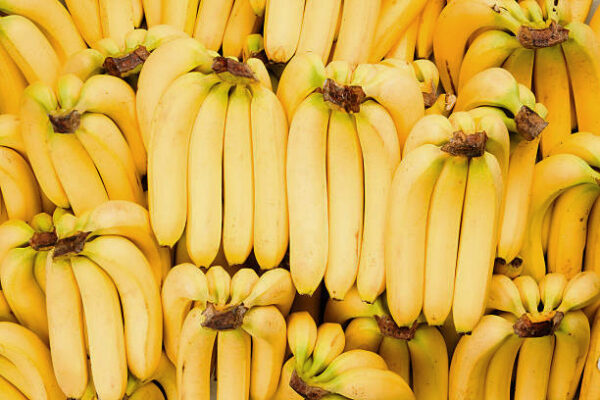 Cavendish Banana