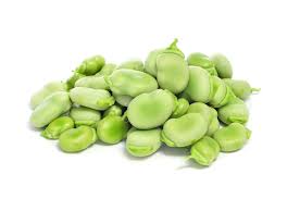 BROAD BEANS