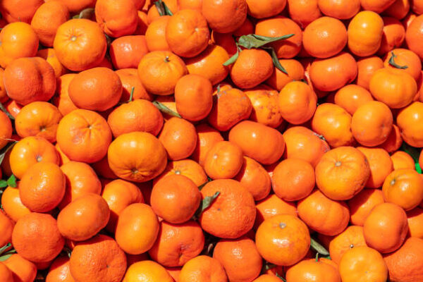 Fresh Mandarin - Image 2