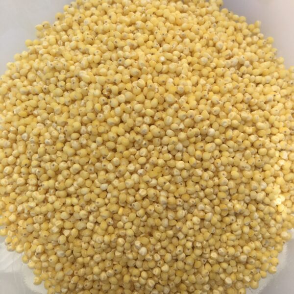 Millet