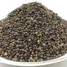 LICORICE SEEDS (URALENSIS)