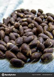 COTTON SEEDS