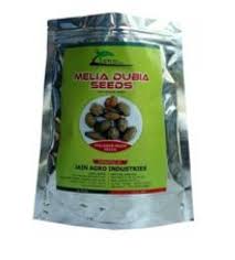 NEEM SEED