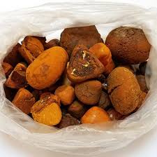 OX GALLSTONES