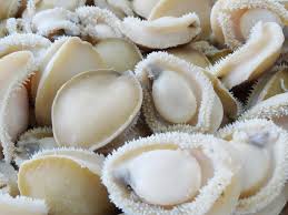 ABALONE