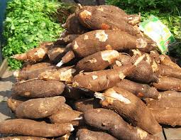 FRESH CASSAVA