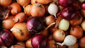 FRESH ONIONS