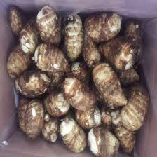 FRESH TARO