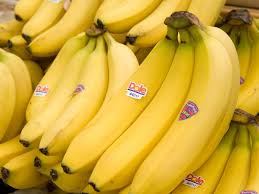CAVENDISH BANANAS
