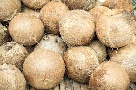 FRESH COCONUTS