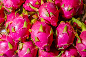 FRESH DRAGON FRUIT