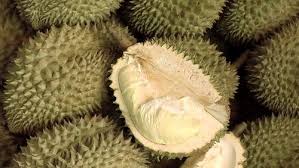 FRESH DURIANS