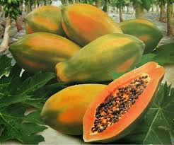FRESH PAPAYA