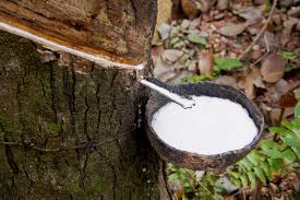 NATURAL RUBBER