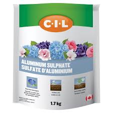 ALUMINIUM SULPHATE (ALUM)