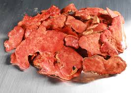 Antrodia Camphorata Extract