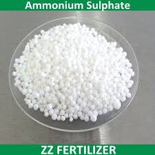 GRANULAR AMMONIUM SULPHATE