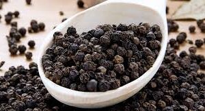 BETA CARYOPHYELLENE