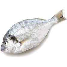 DORADE