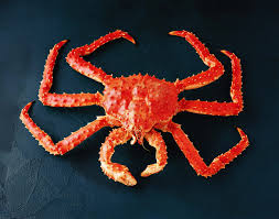 FRESH FROZEN SNOW AND KINGCRABS