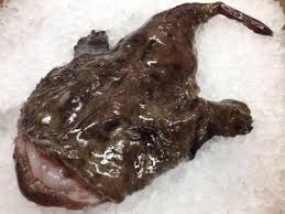 FRESH AND FROZEN MONKFISH WHOLE