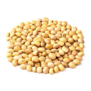 SOYBEANS