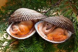 ARK SHELL