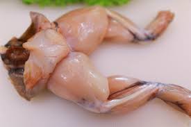 HIGH QUALTIY FROZEN FRESH FROG LEG