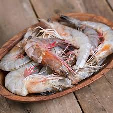 Gulf shrimp
