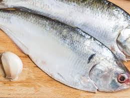 ILISH