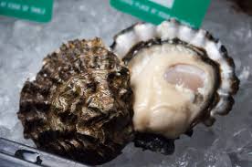 MIYAGI OYSTER