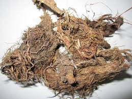 MUSKROOT EXTRACT
