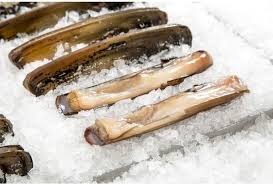 FROZEN RAZOR CLAM