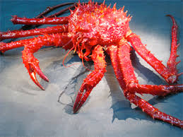 RED KING CRAB