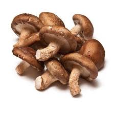 SHIITAKE MUSHROOM EXTRACT