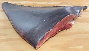 SKATE WINGS