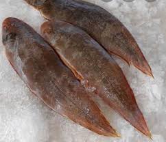 FROZEN THE TONGUE SOLE