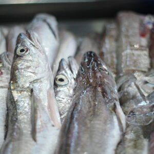 Frozen Fish